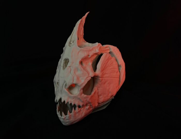 Piranha Skull (Pygocentrus Nattereri) — 3D printable STL model