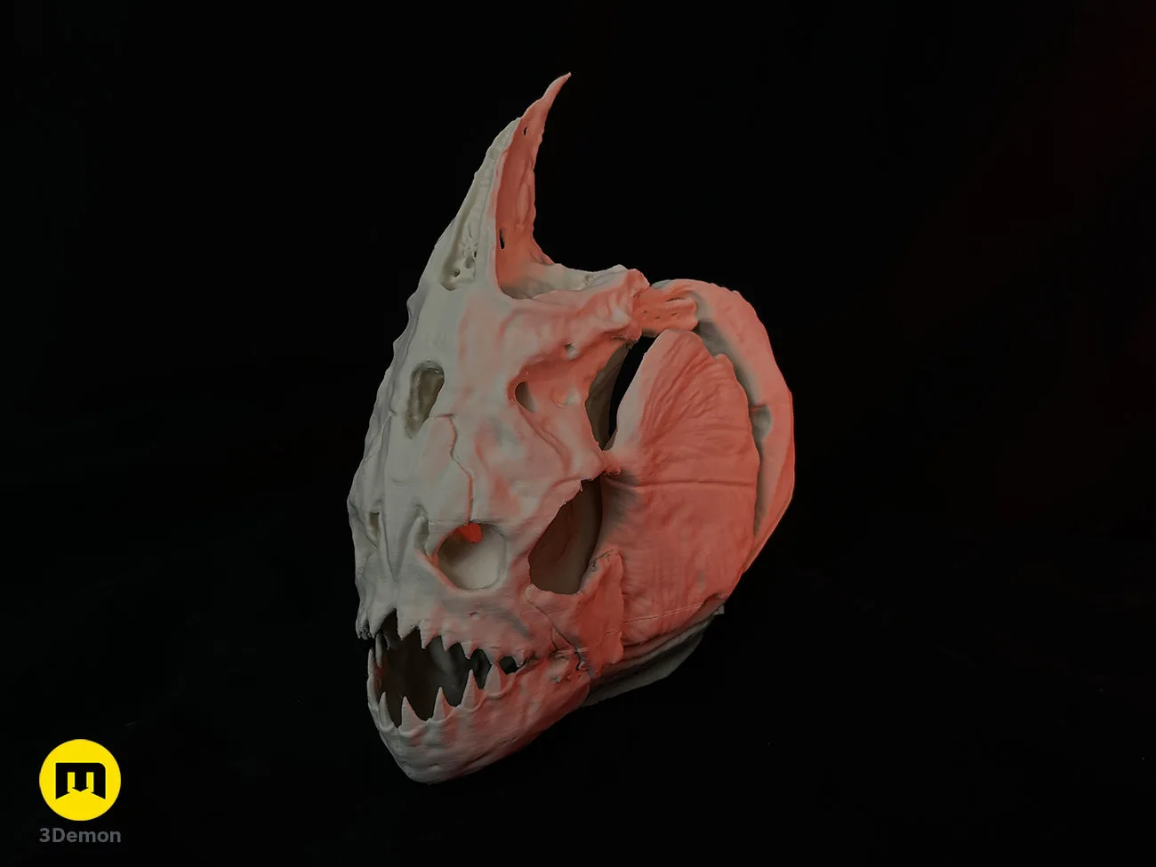 Photo of 3D printed Piranha Skull (Pygocentrus Nattereri), main product photo