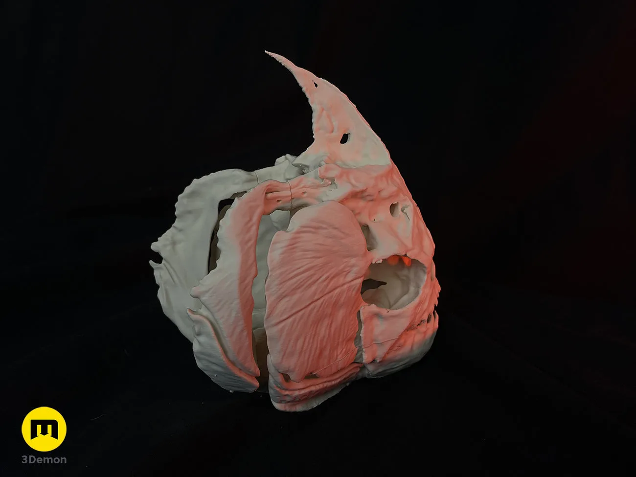 Close-up photo of Piranha Skull (Pygocentrus Nattereri) 3D printed surface texture