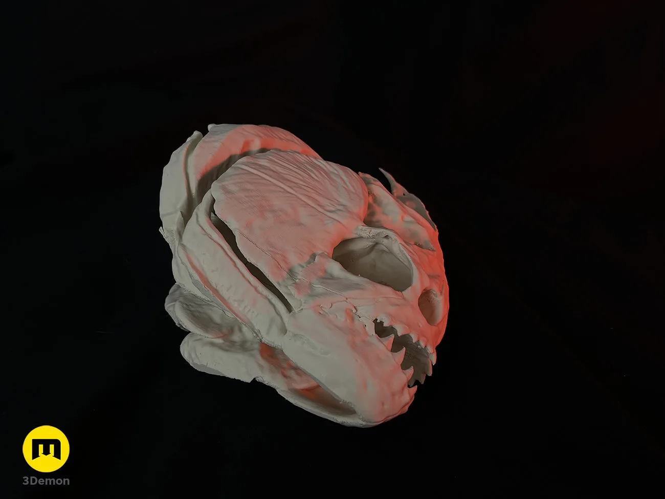 Photo of painted Piranha Skull (Pygocentrus Nattereri) prop by 3Demon