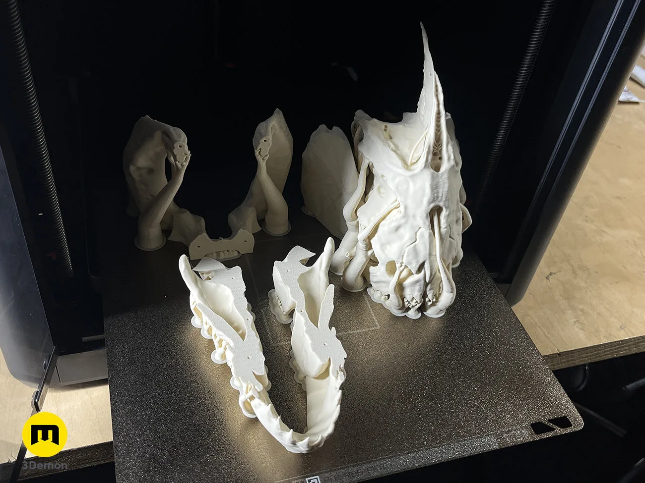 Photo of Piranha Skull (Pygocentrus Nattereri) 3D printed cosplay prop, front view