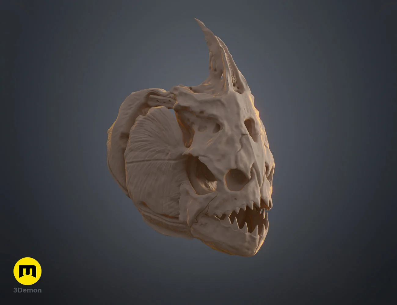 3D render of Piranha Skull (Pygocentrus Nattereri) STL, front view
