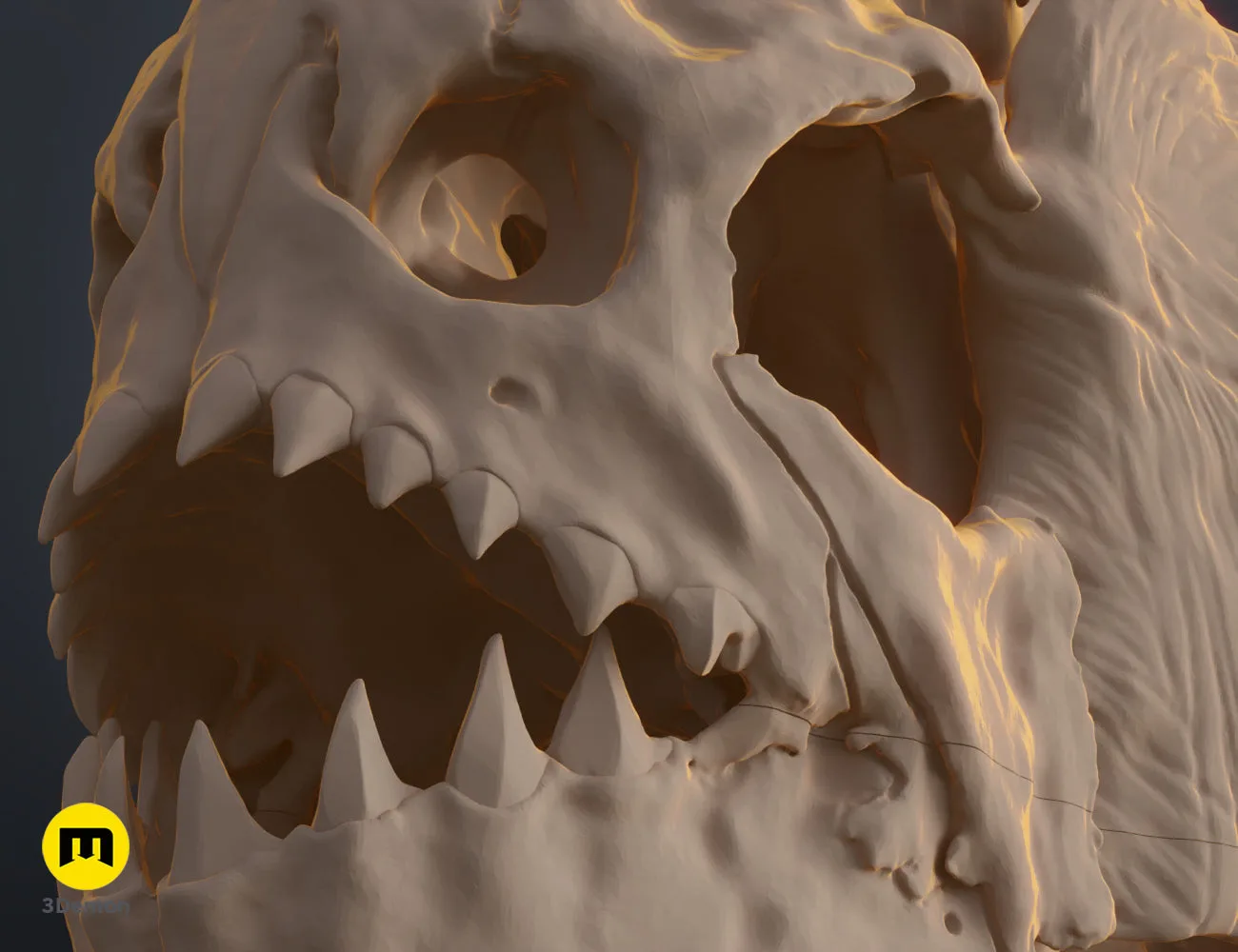 3D render of Piranha Skull (Pygocentrus Nattereri) STL, detail view