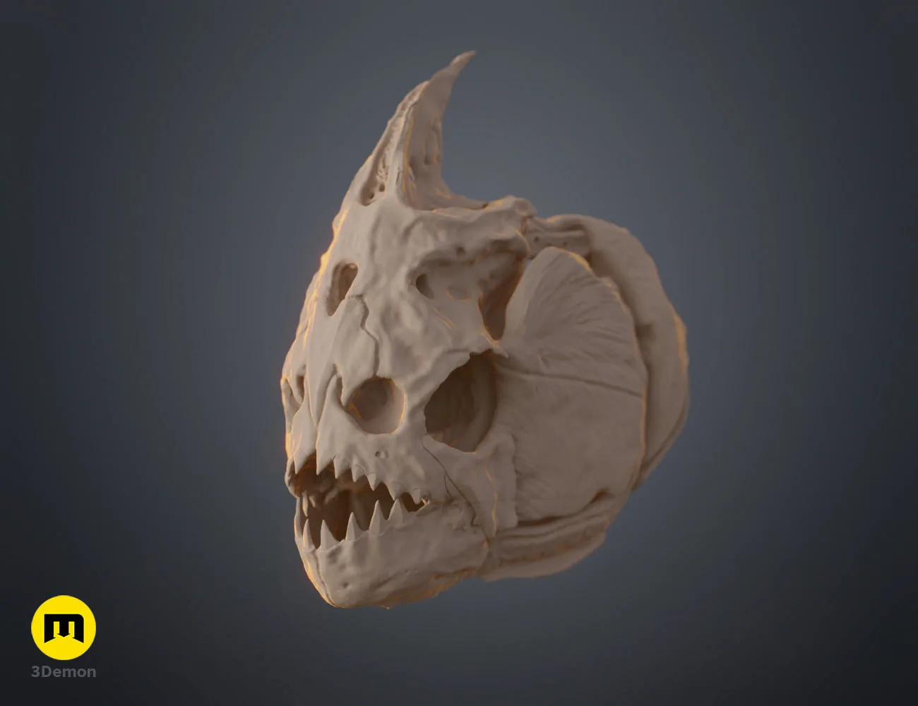 Photo of Piranha Skull (Pygocentrus Nattereri) 3D printed cosplay prop by 3Demon