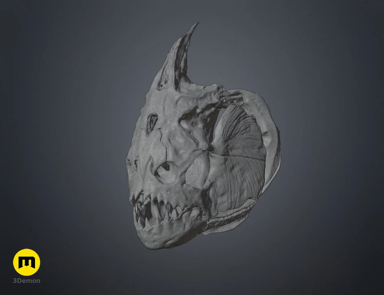 Wireframe mesh render of Piranha Skull (Pygocentrus Nattereri) STL, full polygon structure
