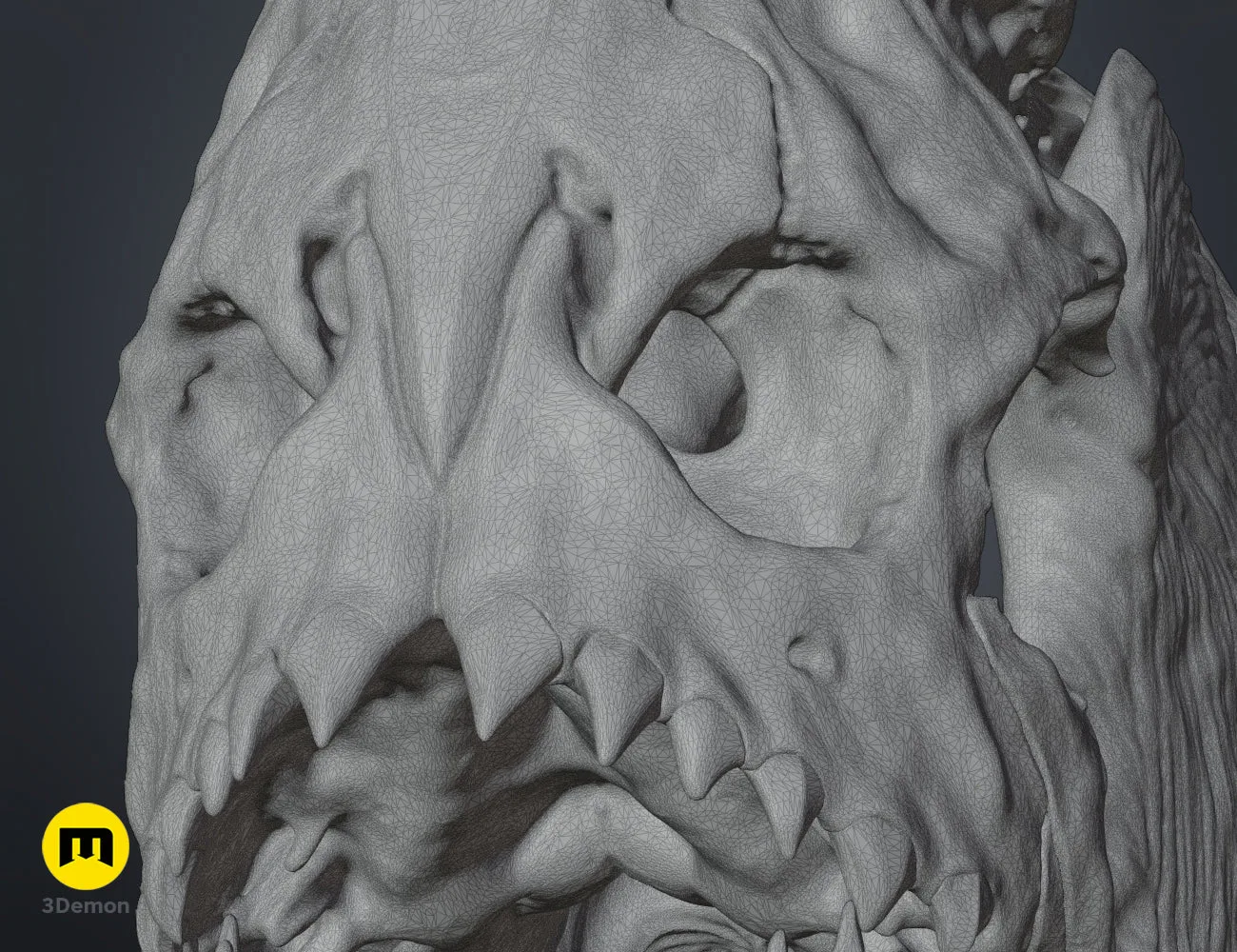 Close-up wireframe mesh of Piranha Skull (Pygocentrus Nattereri) STL, polygon detail view