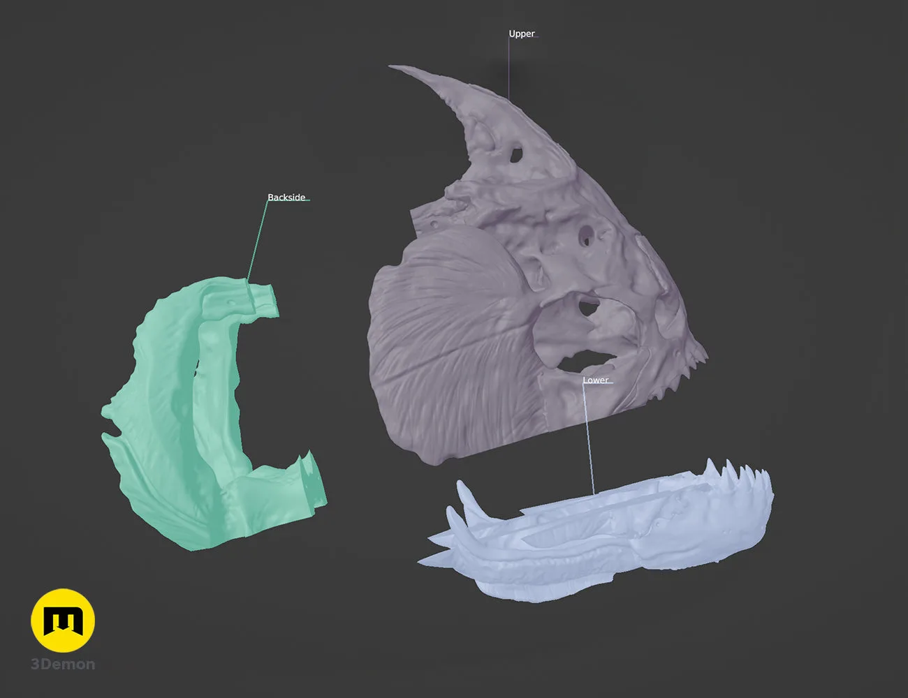 Photo of Piranha Skull (Pygocentrus Nattereri) 3D printed cosplay prop by 3Demon