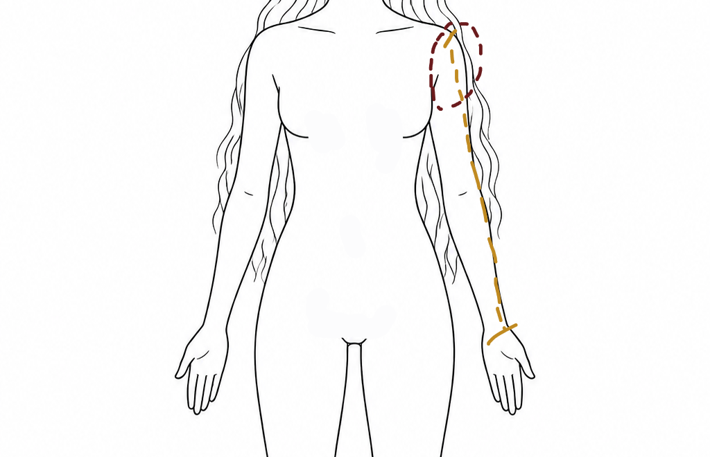 Diagram showing sleeve length and arm cord placement on the body